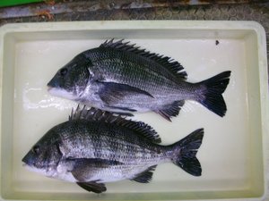 20120724 157.jpg