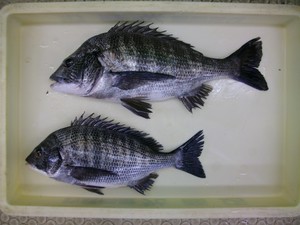 20120724 534.jpg