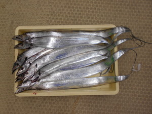 DSCN0076.JPG
