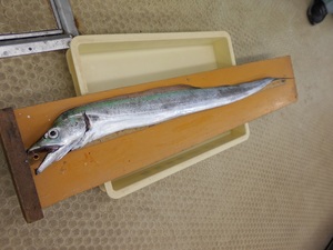 DSCN0175.JPG
